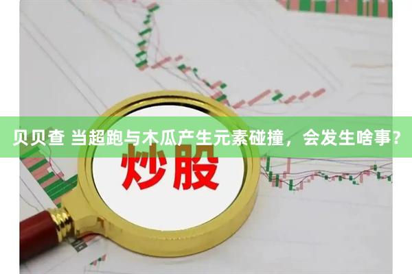 贝贝查 当超跑与木瓜产生元素碰撞，会发生啥事？