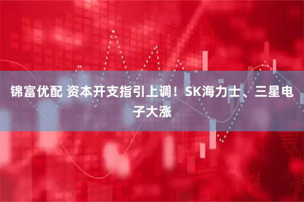 锦富优配 资本开支指引上调！SK海力士、三星电子大涨