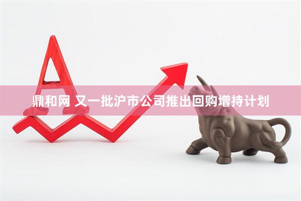 鼎和网 又一批沪市公司推出回购增持计划